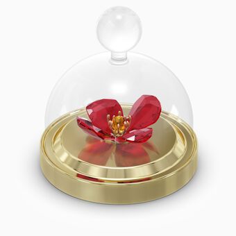 Garden Tales Red Poppy Bell Jar, Small