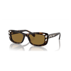 swarovski sunglasses rectangular shape sk6008el brown