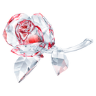 swarovski blossoming rose  red