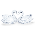 Swan Couple