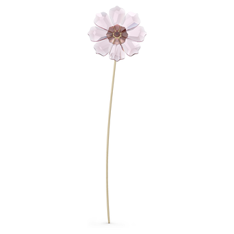 Garden Tales Cosmos swarovski garden tales cosmos