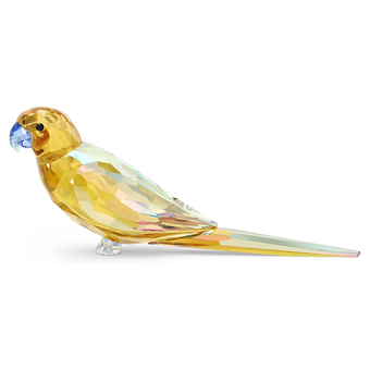 swarovski jungle beats yellow parakeet lechee