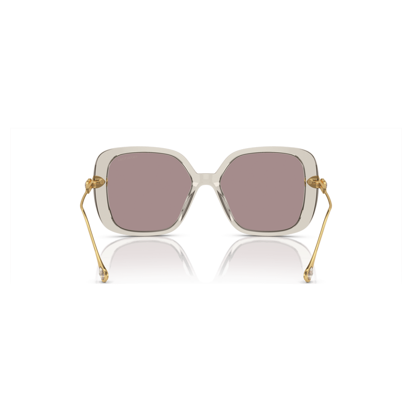 swarovski sunglasses  oversized  square shape  sk6011el  purple