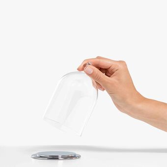 swarovski bell jar display  small