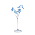 Flower Dream - Forget-me-not