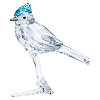 swarovski feathered beauties blue jay