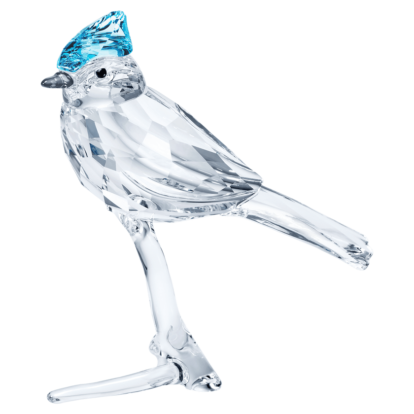 swarovski feathered beauties blue jay