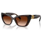 swarovski sunglasses  cat eye shape  sk6047  light brown