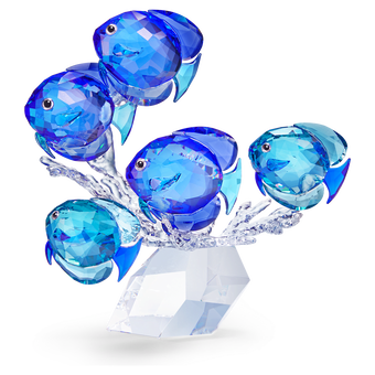 swarovski school of fish
