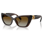 swarovski sunglasses  cat eye shape  sk6047  dark brown