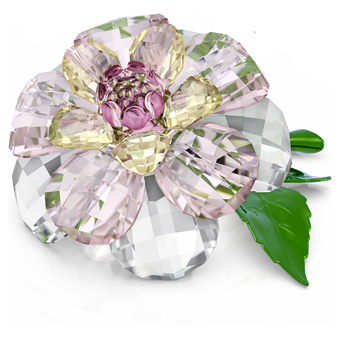 swarovski florere camellia
