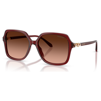 swarovski sunglasses  square shape  sk6067  burgundy
