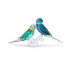 Jungle Beats Parakeet Couple Fife & Fifer